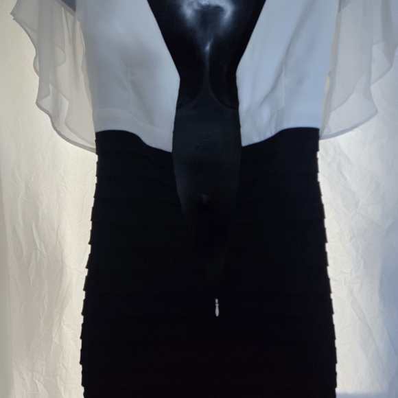 Scarlett Night Event Dress EUC - Picture 10 of 10